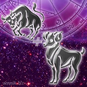 byk związek|Horoskop partnerski: Byk + Byk 